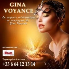 Ginavoyance